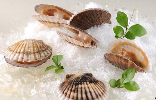 爆料海鲜扇贝的做法视频,视频教学，轻松学会美味扇贝烹饪技巧  第1张