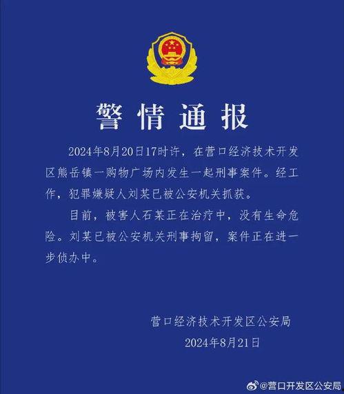 辽宁热点爆料事件最新情况,真相揭晓,影响深远 第1张 辽宁热点爆料事件最新情况,真相揭晓,影响深远 第1张